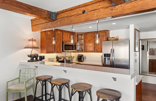 Snowmass Village Apartment | MY MOUNTAIN SHACK-Upscale Condo- Walk to Lifts-Mountain VIEW