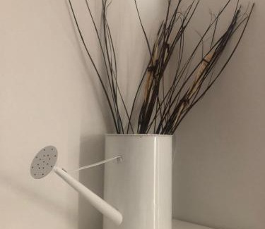 Historic Center House | MyRoom sui Portici