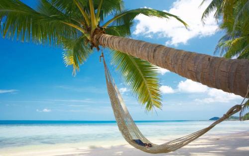 Duong To Hotel | Myrtle Boutique Hotel Phu Quoc