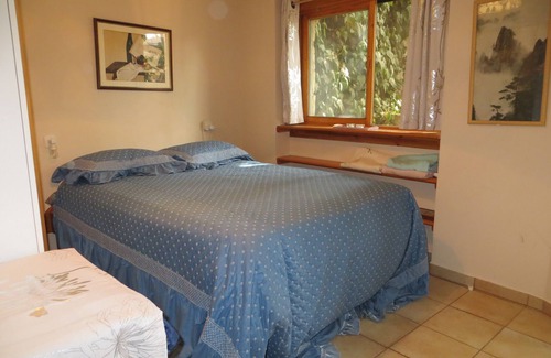 Artists Colony Apartment | Myrtle the Turtle Garden Room