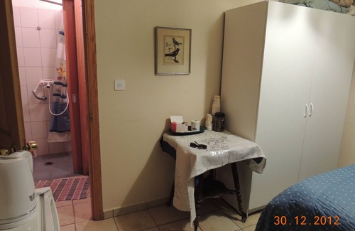 Artists Colony Apartment | Myrtle the Turtle Garden Room