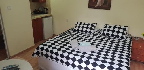 Neve Zohar House | Naama rooms for rent