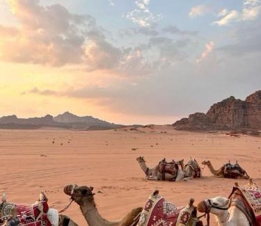 Wadi Rum Other | NAJD Rum Camp