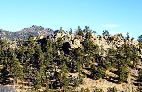 Estes Park Apartment | Nakai Peak 41B Condo