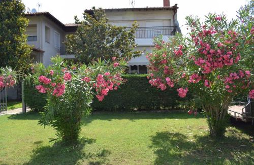 Stavros House | Nakis Apartment All Seasons