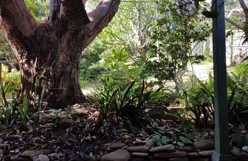 Austinmer House | Nan's Cottage on the Coast