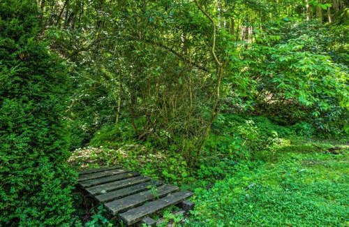 Bryson City Cabin | Nantahala Cabins