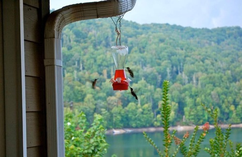 Topton House | Nantahala Getaway-Lakefront -mountain views. Firepit,Generator, wifi - STARLINK