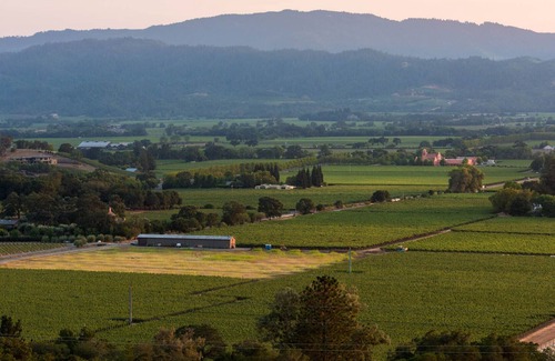 Napa County Villa | Napa Valley Getaway Filled with Art & Light