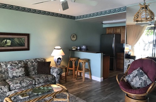 Napili Condo | Napili Point A10 - A Piece of Paradise - Swim With Turtles Just Steps Away