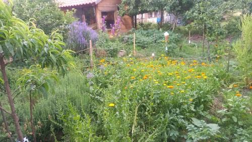 Boitzenburger Land Apartment | Naturlehmhaus