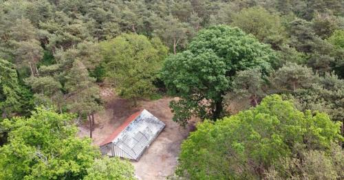 Lomm House | Natuurslaapkamer de zaadeest boskamer