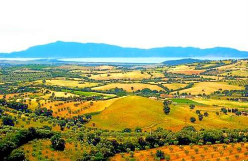 Montiano Apartment | Near the sea big panoramic house 2 terraces in lovely village