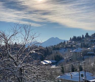 Lake Plastiras Bed & Breakfast | Nefeles