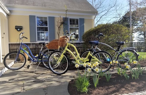 Falmouth House | nEnjoy the Sunset Over Salt Pond. Walk to Beach. Pets welcome. Kayaks/SUP/Bikes