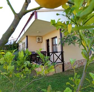 Cirali Hotel | Nerissa Hotel