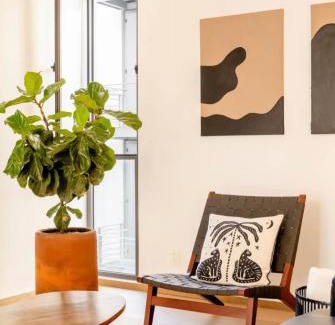 La Condesa Apartment | Nest House Condesa
