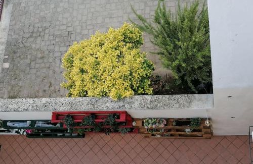 San Damiano dʼAsti Apartment | Nest of love