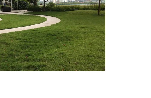 Taman Perling Condo | NestHome JB City (Pool view) 3 bedroom suites