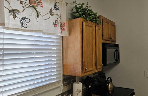 Greenville House | Nestled Bungalow near ECU & ECU Health