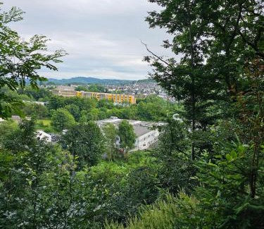 Betzdorf Apartment | NEU Ganze Wohnung Boxspringbett & Gartenzugang