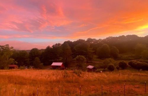 Candler House | New 2BR house, panoramic views, 15 min to DT AVL