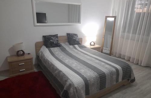 Bacau Apartment | New 33