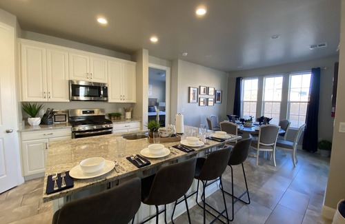 Washington House | New and Clean! 5 bed, 4 bath, NEW POOL WITH HUGE SLIDE, LAZY RIVER & SPA