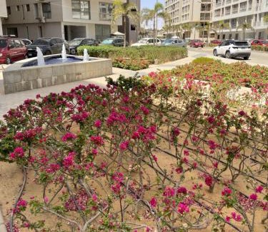 Nasr City Apartment | New cairo - nasr city 2 bedroom furnished
