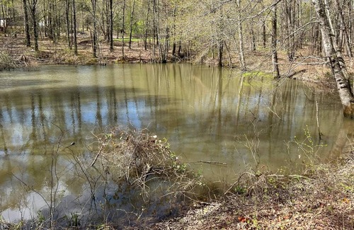 Wilburn House | New Camper on Private Property with Atv and Fishing