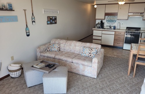 Oscoda Condo | New! Carpe Diem 365 - Very Cute Lakefront Condo with Private Beach!