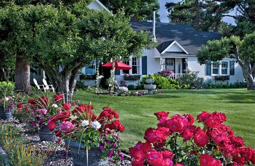 Grandview Cottage | New Euro style decor. King bed & Great view Room is up stairs Easy inside carpeted stairs w/iron handrail