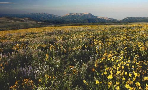 Wolf Creek House | New Family Home in Eden w Hot Tub and Great Views