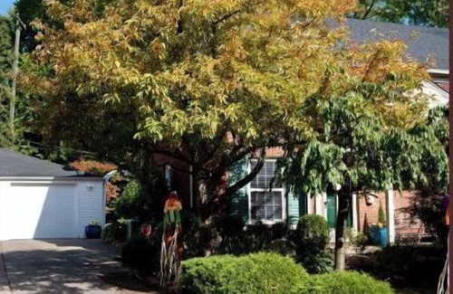 Dearborn House | NEW! Historic Home ~ 2 Mi to Greenfield Village