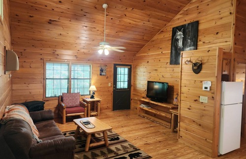 Helen Cabin | NEW HOTTUB! 1/4/25 Walk to town, EV Charger, In the Woods