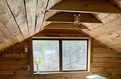 Cotter Cabin | New Listing Quiet Secluded Cabin One Mile from Wildcat Shoals Public Access