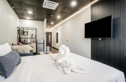 North Oakland Apartment | New Loft 5 min to PPG or Convention center Sleeps 4