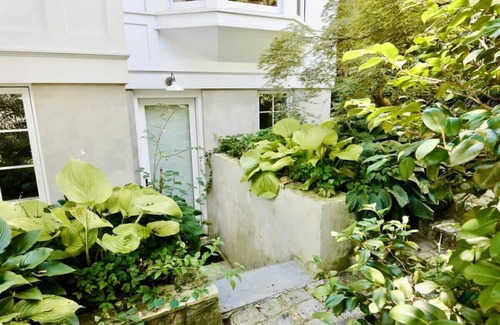 Cleveland Park Apartment | New Luxe Studio Cleveland Park near Zoo