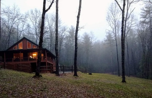 Brevard House | New Luxury Tree Chalet near Dupont State Forest
