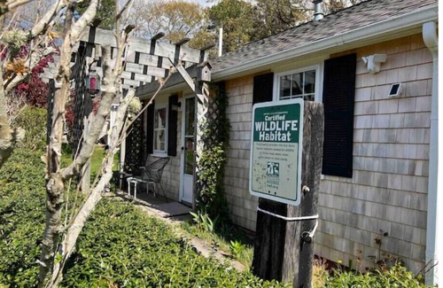 East Falmouth Cottage | NEW! Nature's Nook Peaceful Cottage Close to All