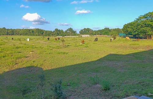Summerfield House | NEW! Peaceful Countryside Retreat in Summerfield!