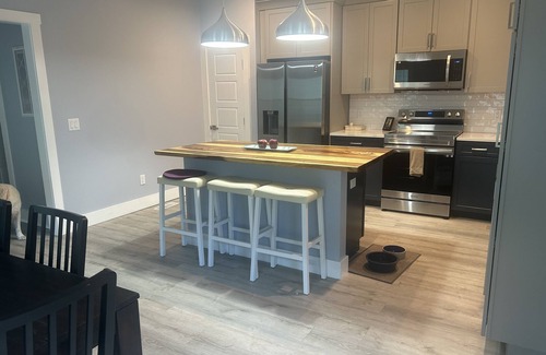 Wilmington House | New Pet Freindly Home in historic Downtown Wilmington with fenced yard