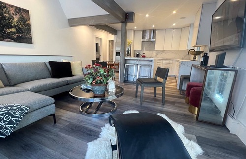 Aspen Condo | New rehab near gondola, walk everywhere, Fab fall in Aspen. Large 2BR 2 floors.