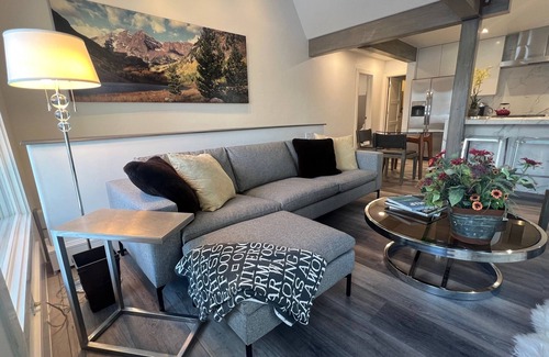 Aspen Condo | New rehab near gondola, walk everywhere, Fab fall in Aspen. Large 2BR 2 floors.
