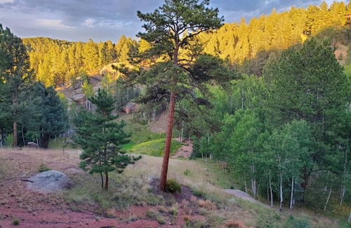 Florissant Apartment | New! Secluded Guest Suite Covered Hot Tub, Private Drive, Mountain Valley Views