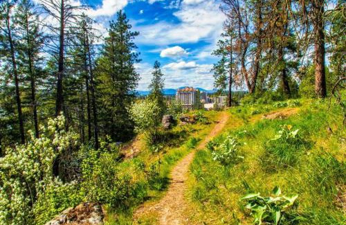 Coeur d'Alene Apartment | New Studio 5 Min to Lake CDA And 7 Min to Kootenai Hospital