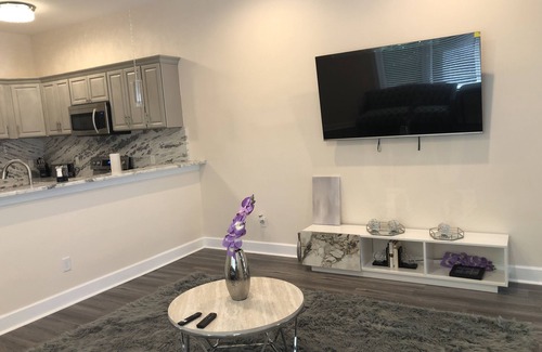 Tallahassee House | Newly constructed VIP Leval Rooftop Townhome