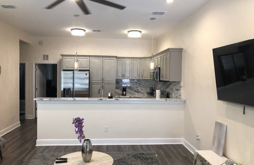 Tallahassee House | Newly constructed VIP Leval Rooftop Townhome