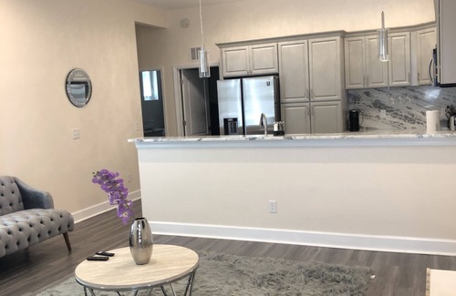 Tallahassee House | Newly constructed VIP Leval Rooftop Townhome