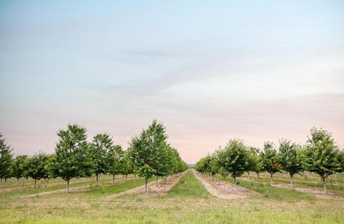Williamsburg House | Newly Remodeled 4BDR Farmhouse Retreat 7356